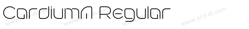 CardiumA Regular字体转换